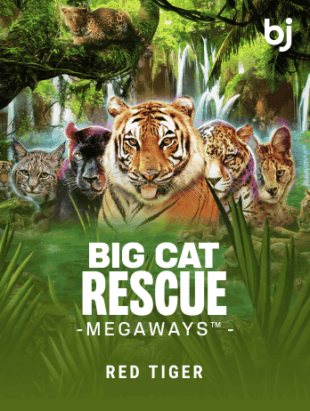 Big Cat Rescue Megaways™ icon